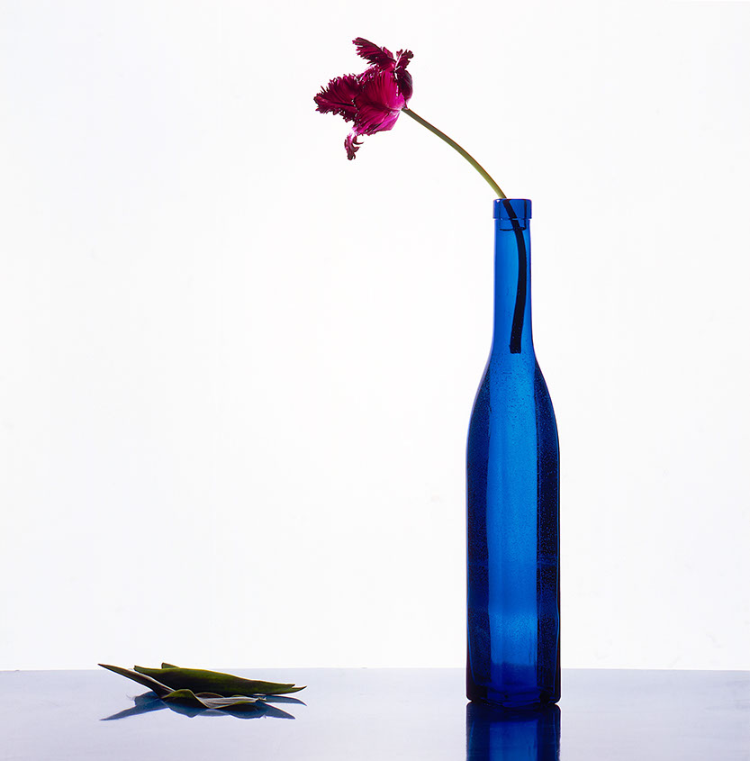 Blaue Flasche mit roter Blume